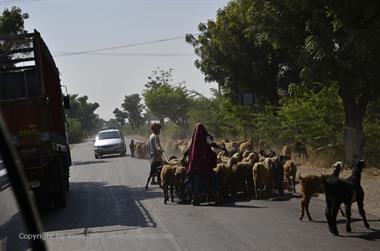 02 PKW-Reise_Jodhpur-Mount_Abu_DSC3947_b_H600